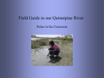 Field Guide to our Rivers