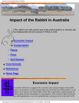 Impact of the Rabbit in Australia