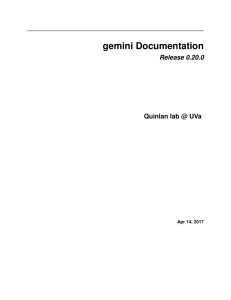 gemini Documentation