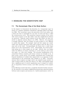 7. MODELING THE SOMATOTOPIC MAP 7.1 The Somatotopic Map