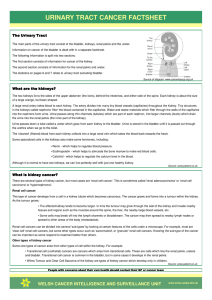 urinary tract cancer factsheet - Welsh Cancer Intelligence and