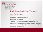 Endolymphatic Sac Tumors: An Overview
