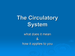 The Circulatory System