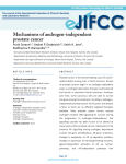 Mechanisms of androgen-independent prostate cancer