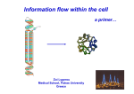 Information flow within the cell