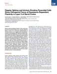 Regular Spiking and Intrinsic Bursting Pyramidal Cells