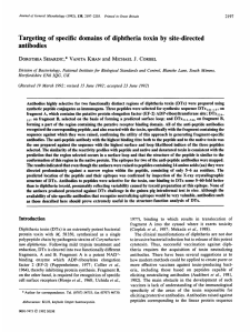 Targeting of specific domains of diphtheria toxin by site