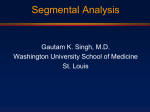 Segmental Analysis I