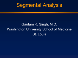 Segmental Analysis I