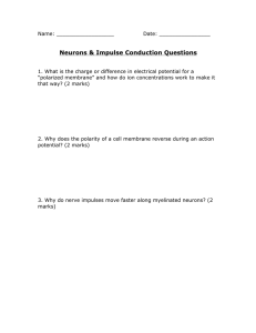 Impulse Conduction Practice Questions