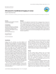 Ultrasound in maxillofacial imaging: A review