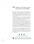 30 Synthesis of Glycosides, Lactose, Glycoproteins and Glycolipids