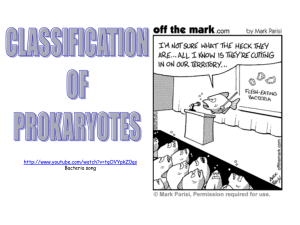 PROKARYOTE new 2015 handout