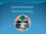 Environmental Biotechnology