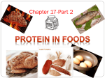 Protein in Foods
