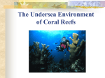 The Undersea Environment of Coral Reefs