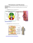 dermatomes_and_myotomes_information