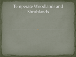 Temperate Woodlands and Shrublands