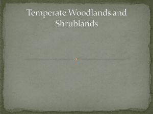Temperate Woodlands and Shrublands