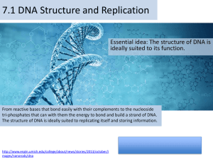 DNA