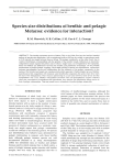 Species size distributions of benthic and pelagic Metazoa: evidence