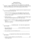 Segmented Worms sec 2 notes