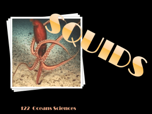 SQUID ocean Sciences 122 - deb-or-ah