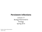 Persistent Infections