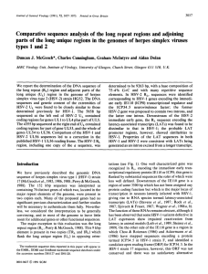 Comparative sequence analysis of the long repeat regions and