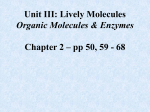 Organic Molecules Carbohydrates