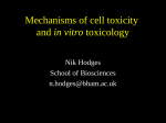 Mechanisms of cell toxicity and in vitro toxicology