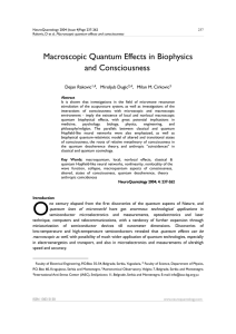 Macroscopic Quantum Effects in Biophysics and