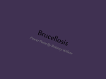 Brucellosis - 2012royals