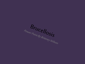 Brucellosis - 2012royals