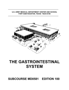 the gastrointestinal system