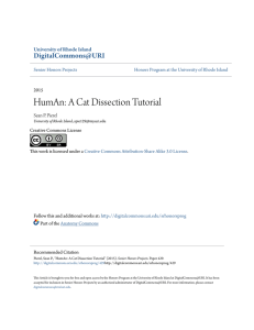 HumAn: A Cat Dissection Tutorial