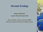 Stream Ecology 101ish - Conservation Corps Minnesota
