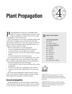 Plant Propagation - University of Alaska Fairbanks