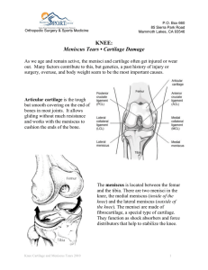 KNEE: Meniscus Tears • Cartilage Damage