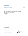 Idea Gaps, Object Gaps, and Trust Gaps in Economic Development