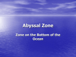 Abyssal Zone