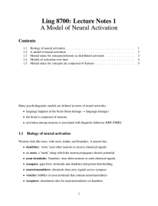Ling 8700: Lecture Notes 1 A Model of Neural Activation