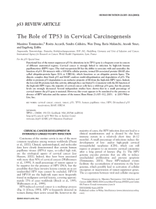 The Role of TP53 in Cervical Carcinogenesis