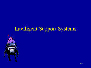 Intelligent Support Systems