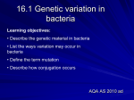 16.1 Genetic variation in bacteria
