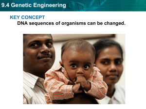 9.4 Genetic Engineering