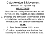 The Cytoskeleton… but first: