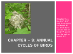 Chapter – 9: Annual Cycles of Birds