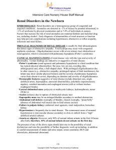 Renal Disorders in the Newborn