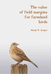 The value of field margins for farmland birds